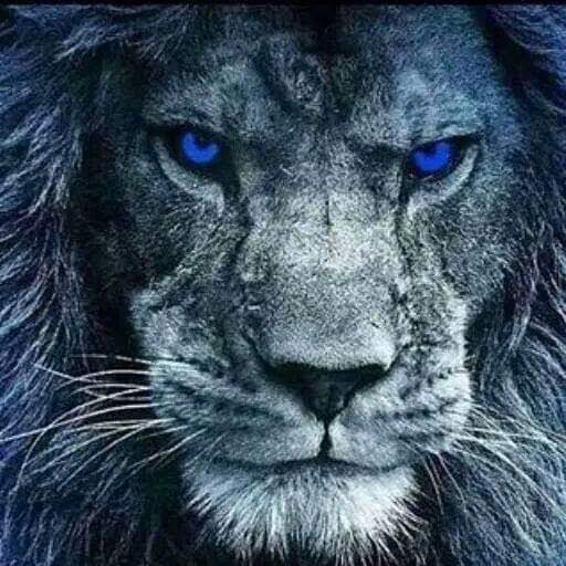 fb_img_1561999610760